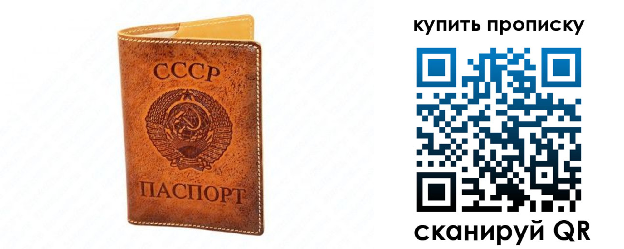 прописка поиск в Вельске