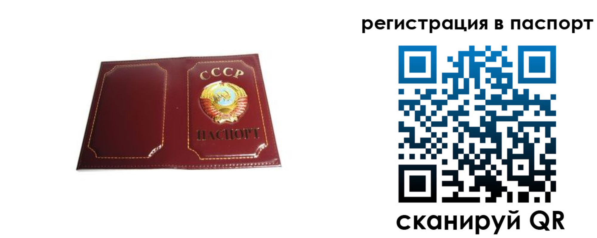 прописка 2025 в Вельске